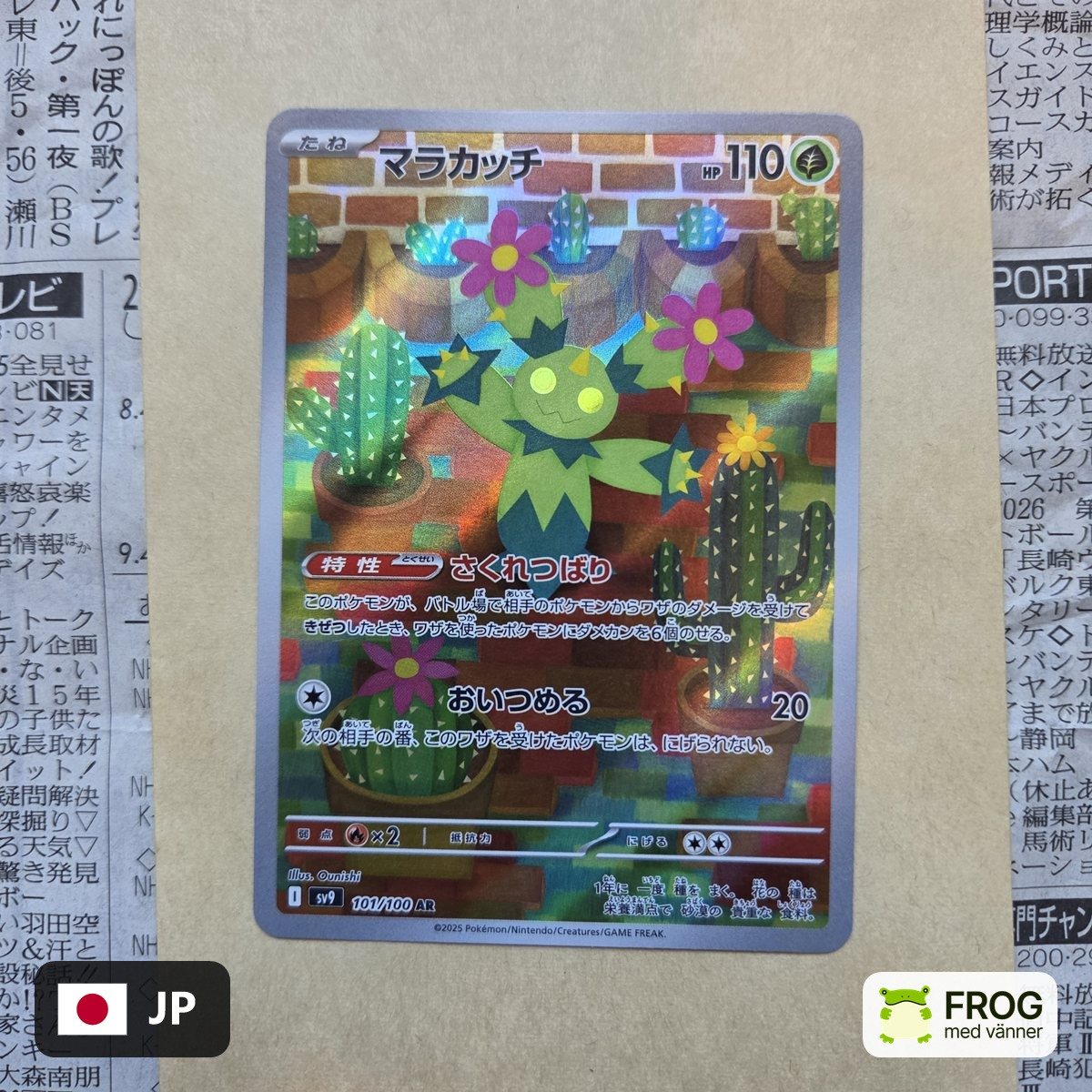Maractus 101/100