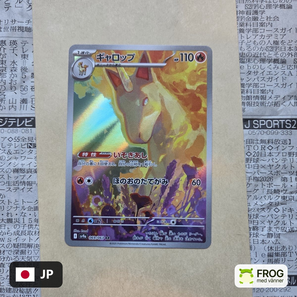 Rapidash 069/063