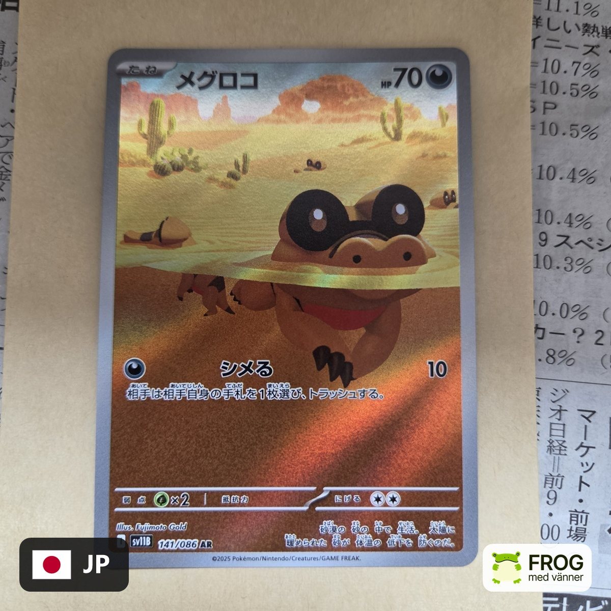 Sandile 141/086
